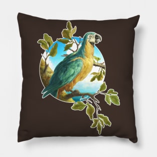 Parrot 1 Pillow