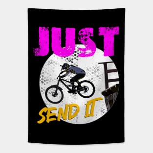 Just Send It - MTB dropping in Tapestry