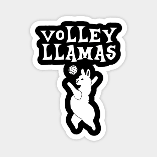 Volley Llamas Funny T-shirt For Boys Girls Magnet