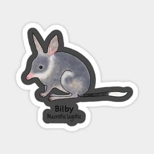 Endangered animals of Australia - Bilby, (Macrotis lagotis) Magnet