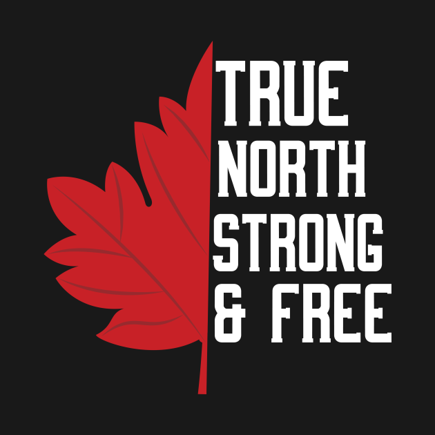Disover Canada True North Strong And Free - Canada Day 2021 - T-Shirt