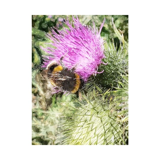 The Bee and Thistle bywhacky by bywhacky