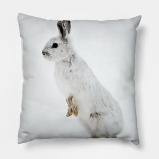 Snow Shoe Hare Pillow