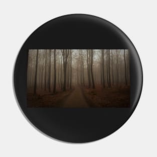 Foggy winter day Pin