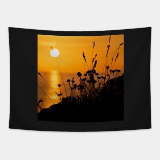 The pinned sun Tapestry