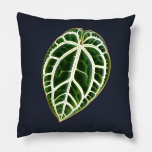 Anthurium crystallinum - L'illustration horticole - Botanical Illustration Pillow