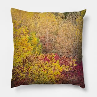 autumn trees background Pillow