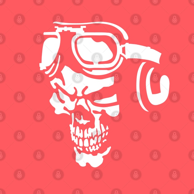 Pilot Skull by sibosssr