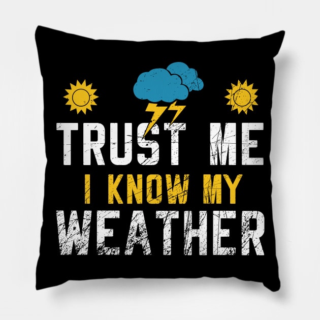 I Know My Weather Pillow by Shiva121