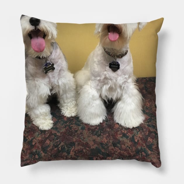 Cute Schnauzers Pillow by Wacky and Wild Shirts