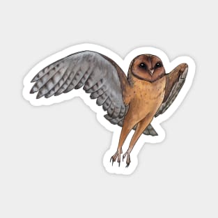 Take Flight! Owl Magnet