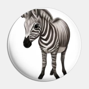 Cute Quagga Drawing Pin