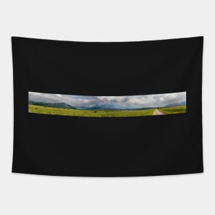 Mountain panorama Tapestry