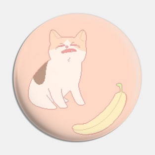 Crying Cat Pin