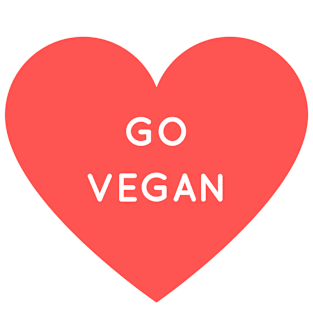 Go Vegan Magnet