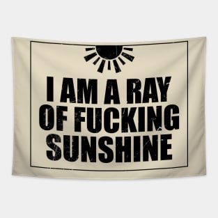 I Am a Ray Of Sunshine Funny Tapestry