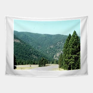 Highway though Montana's Hills and Mounds Tapestry