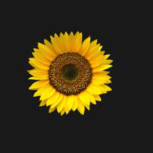 Sunflower T-Shirt