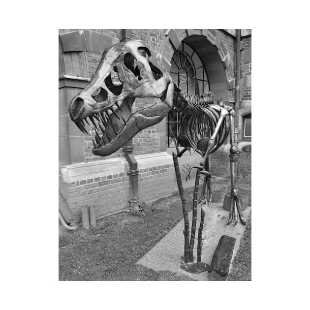 Sedgwick Museum of Earth Sciences, Courtyard. Cambridge, UK by IgorPozdnyakov