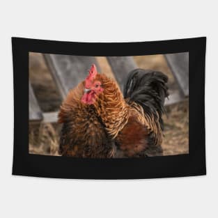 chicken Tapestry