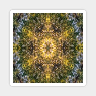 Kaleidoscopic Rainforest Magnet