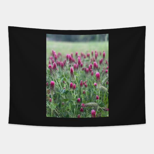 Wildflowers Tapestry by Ckauzmann