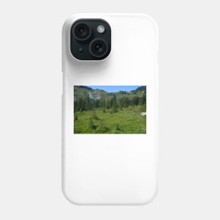 850_4593 Phone Case