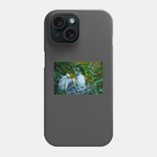 Three Great White Egret Chicks on the Nest. Cute baby birds. Phone Case by kstanvir