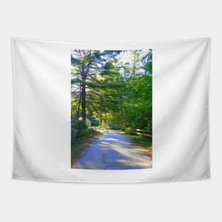 Country Road New Hampshire Tapestry