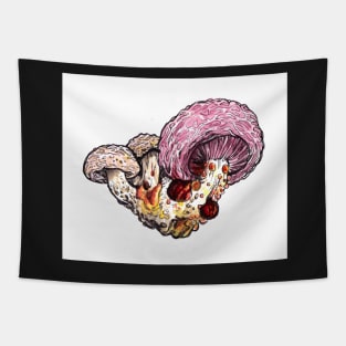 Wrinkled Peach fungus Tapestry