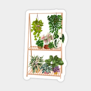 Plant shelf 4 Magnet