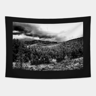 Stormy Weather Tapestry