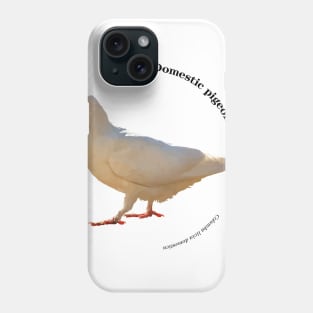 Domestic pigeon walking pin black text Phone Case