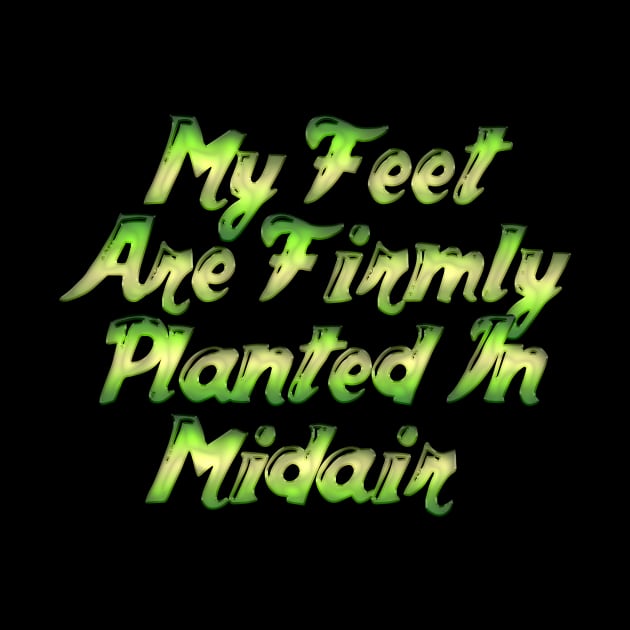 My feet are firmly planted in midair by Edward L. Anderson 