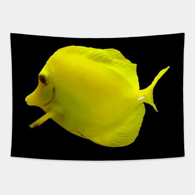 Fish - Yellow Tang Tapestry by SusanSavad