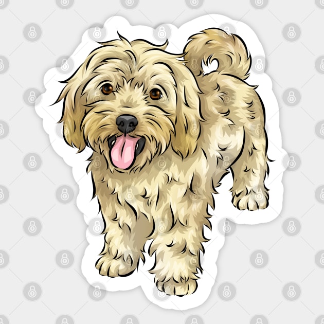 Cute Cream / Yellow Cavapoo Dog - Cavapoo - Sticker