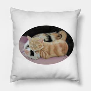 Sleeping Kittens Pillow