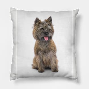 Cairn Terrier 3 Pillow