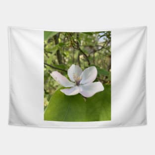 a white flower Tapestry