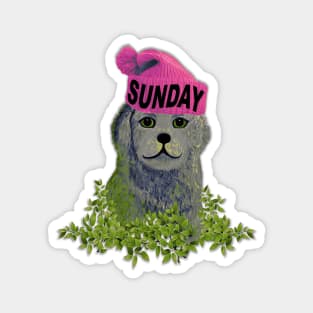 Sunday Mood Beanie Puppy Magnet