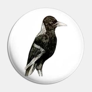 Young Australian Magpie Pin