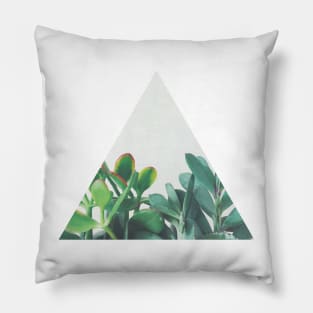 Crassula Group Pillow