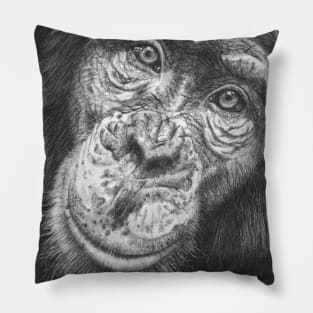 Monkey Business Pillow