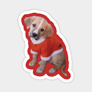 Puppy in Santa suit Magnet