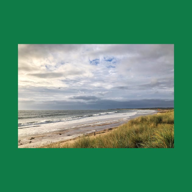 Breezy October in Northumberland by Violaman