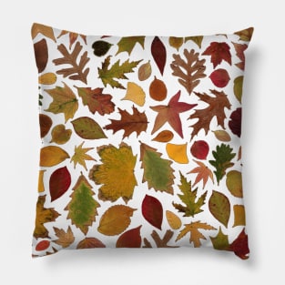 Autumn Leaves Pillow