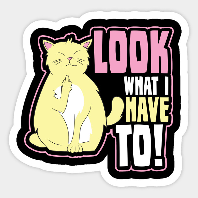 Cat Middle Finger Shirt What I Have To Gift Cat Middle Finger