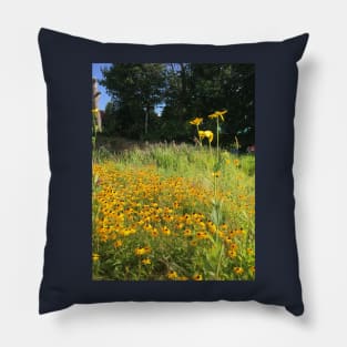 Black Eyed Susans Pillow