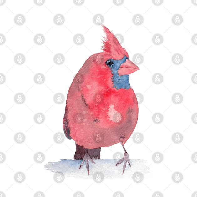 Northem cardinal red watercolor bird by Oranjade0122