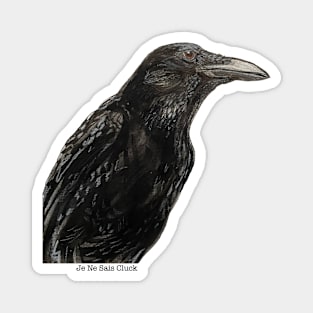 Raven Magnet